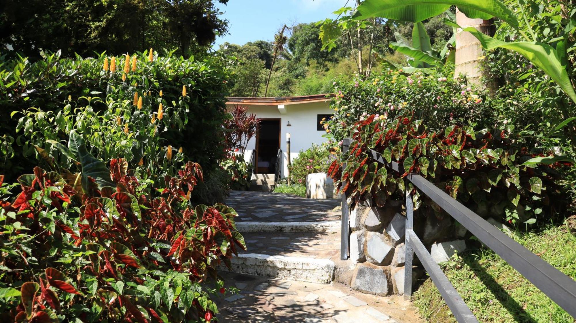 Las Terrazas De Dana Boutique Lodge & Spa Mindo Buitenkant foto