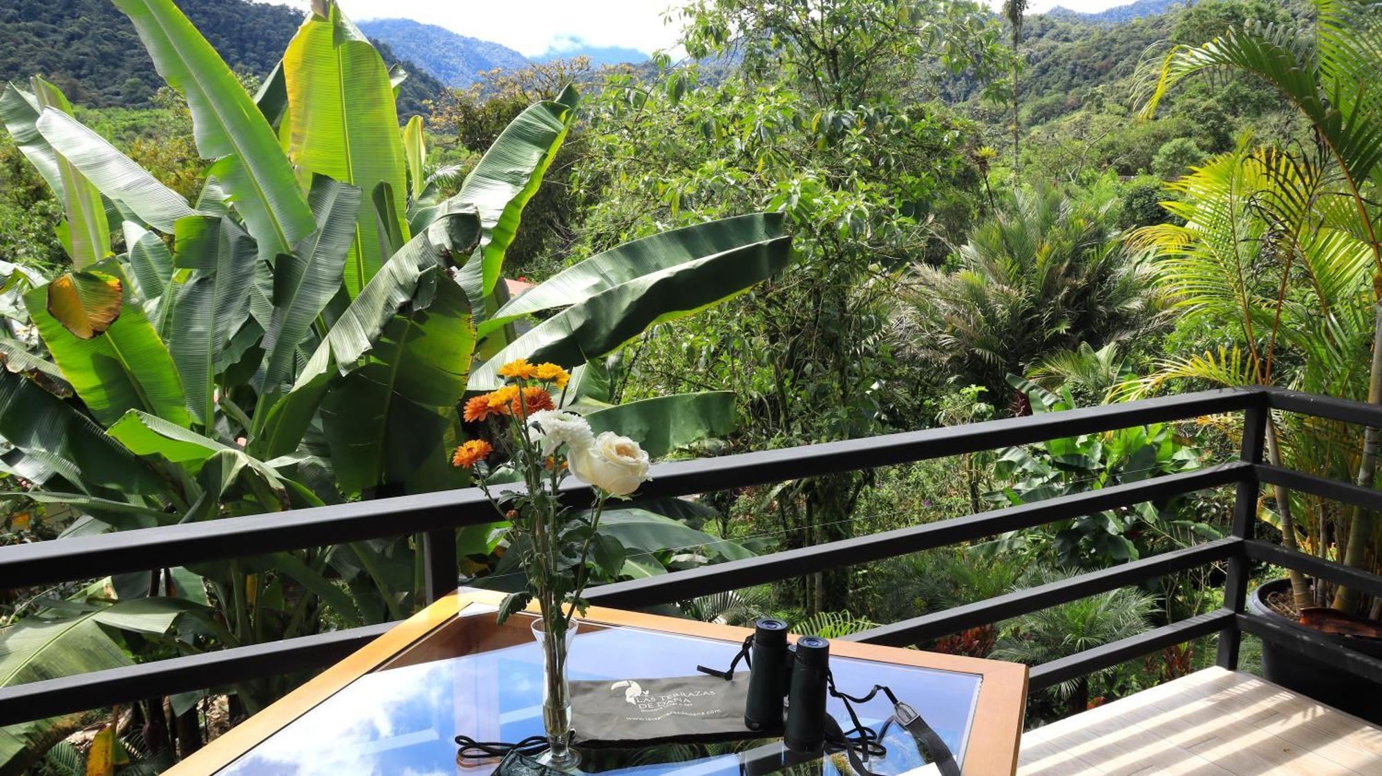 Las Terrazas De Dana Boutique Lodge & Spa Mindo Buitenkant foto