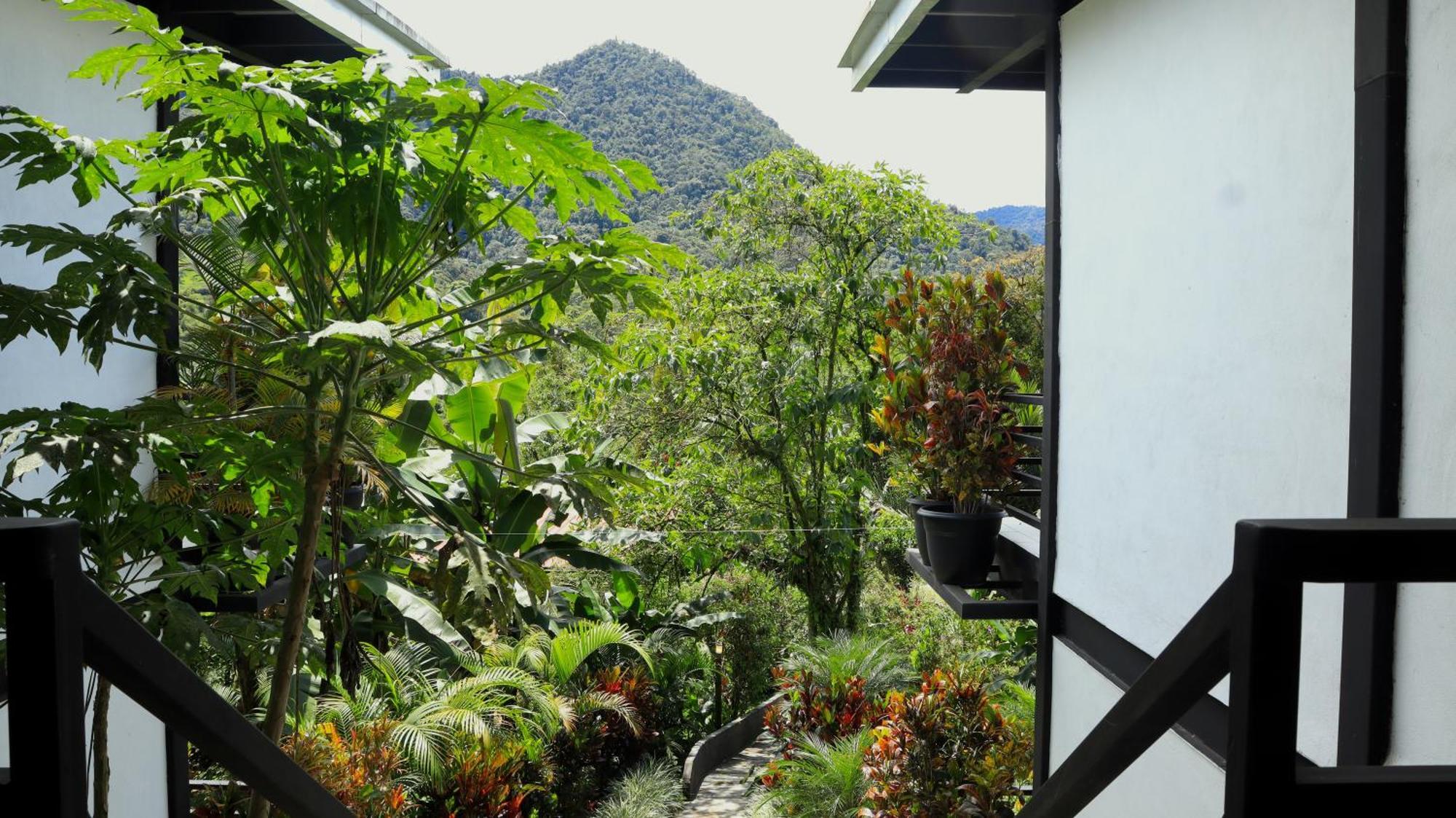 Las Terrazas De Dana Boutique Lodge & Spa Mindo Buitenkant foto