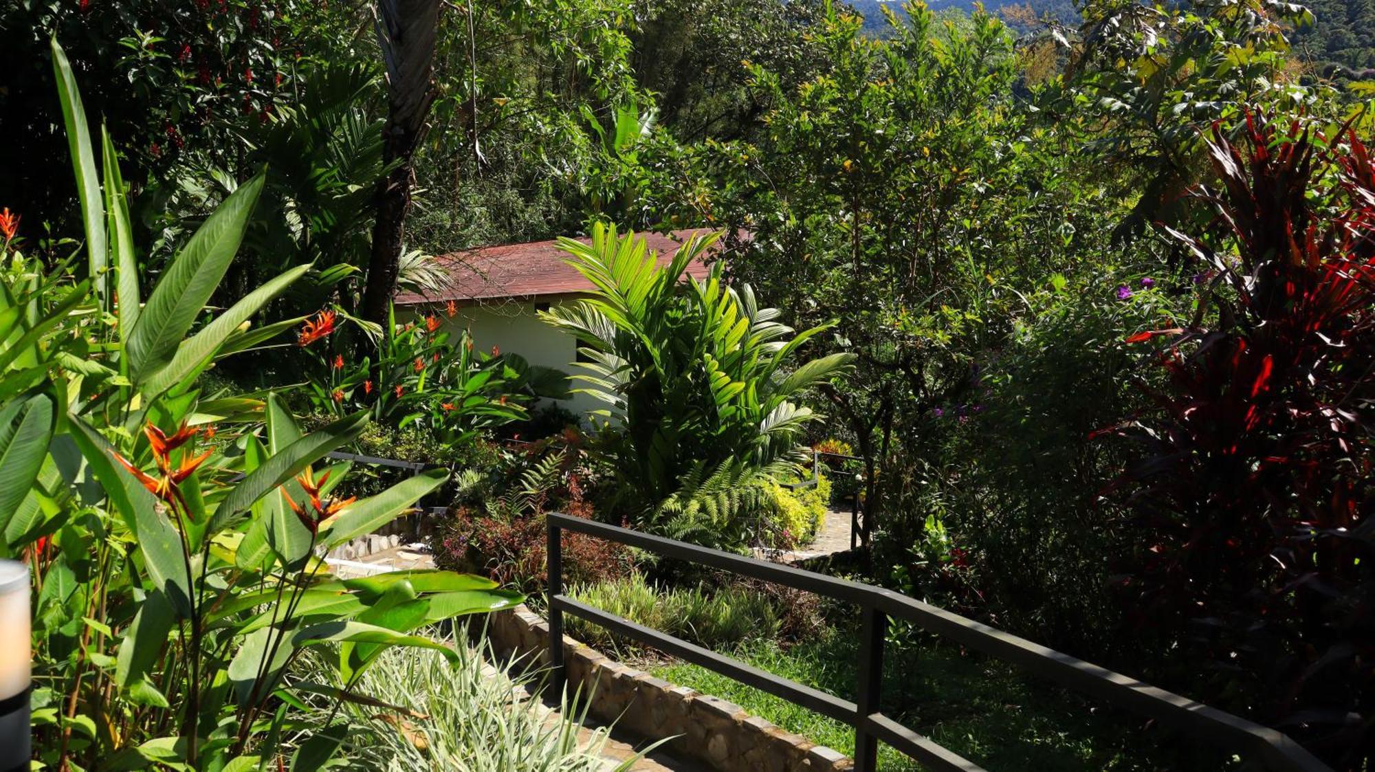 Las Terrazas De Dana Boutique Lodge & Spa Mindo Buitenkant foto