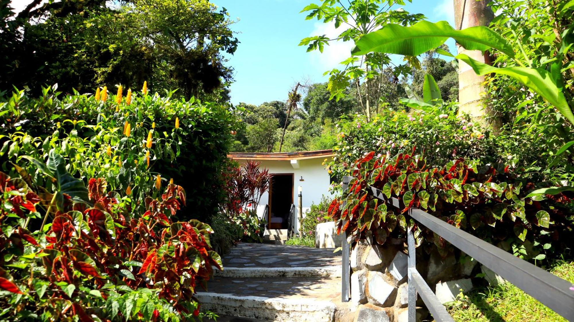 Las Terrazas De Dana Boutique Lodge & Spa Mindo Buitenkant foto