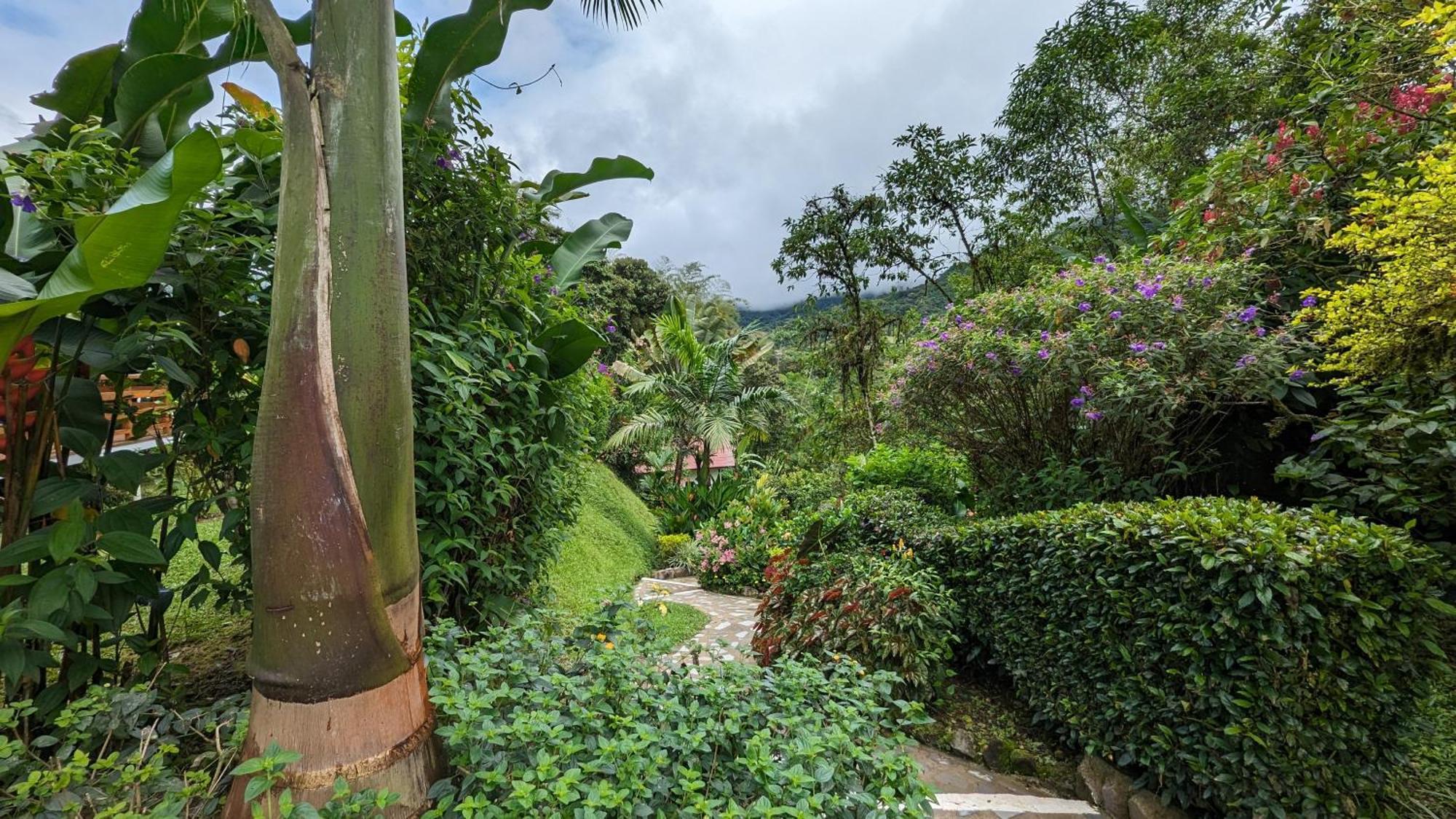 Las Terrazas De Dana Boutique Lodge & Spa Mindo Buitenkant foto