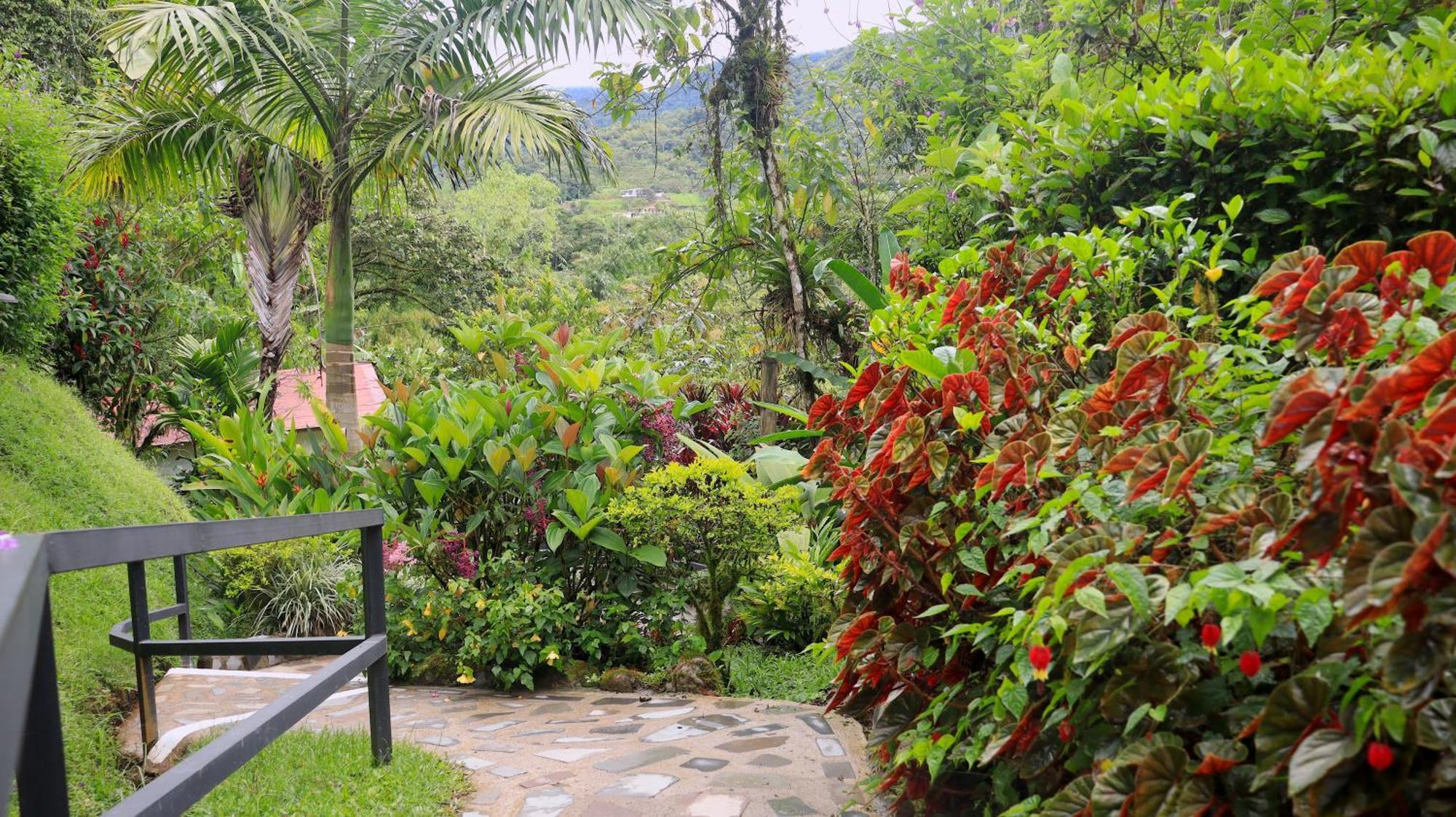 Las Terrazas De Dana Boutique Lodge & Spa Mindo Buitenkant foto